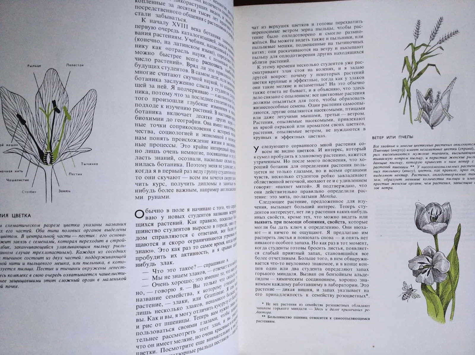 Книга В мире растений автор Фритс Вент перевод с английского Plants