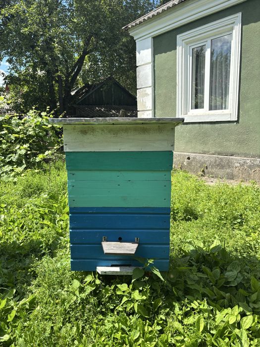 Продам вулики для бджіл