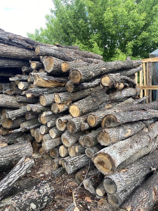 Дрова дубові кругляк