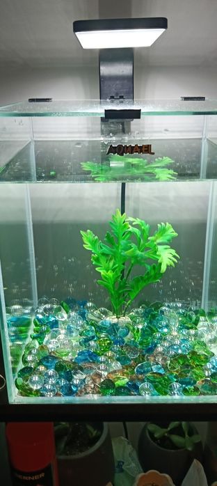 Sprzedam akwarium Aquael 20 l
