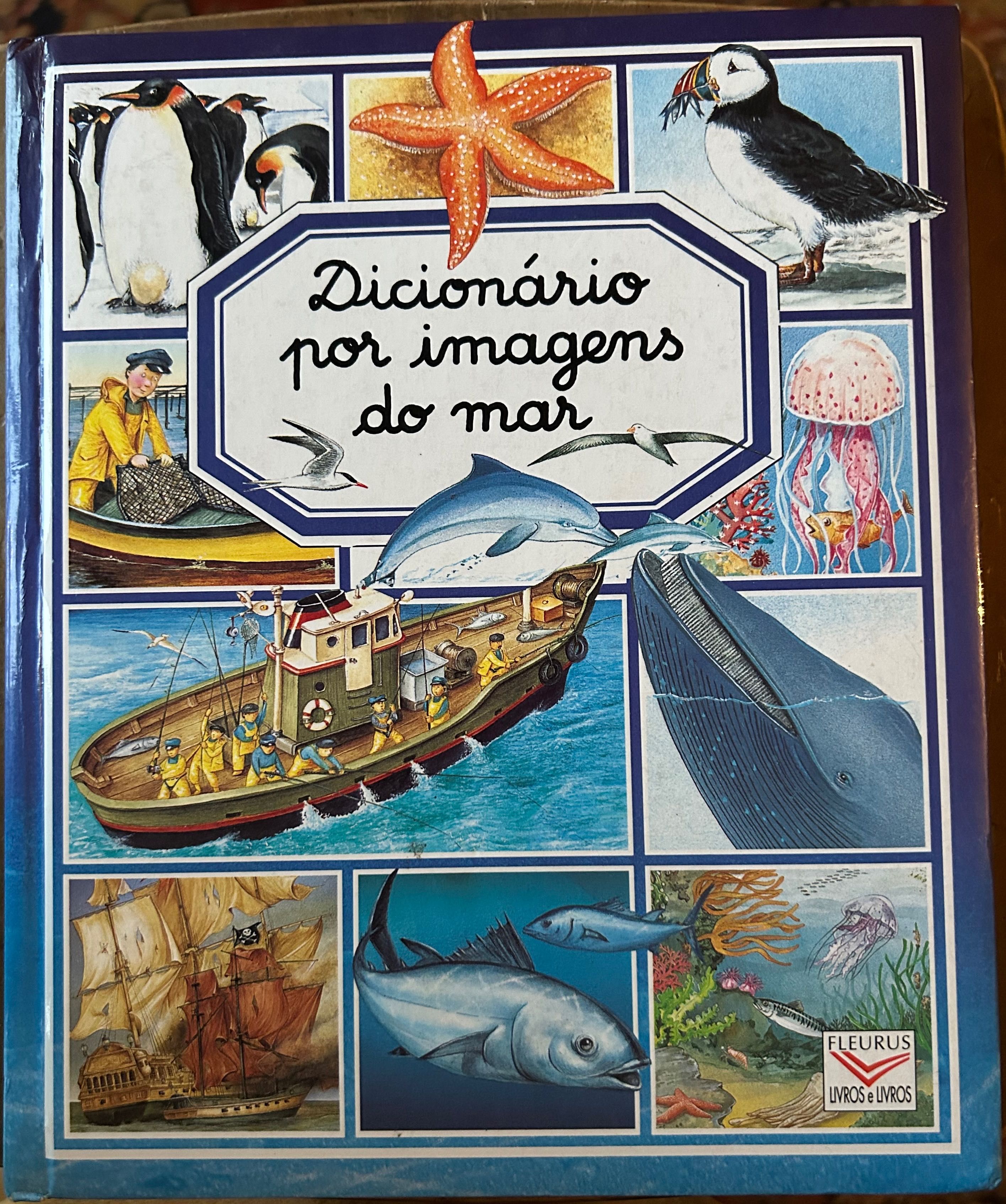 Dicionário por imagens do mar (Livro)