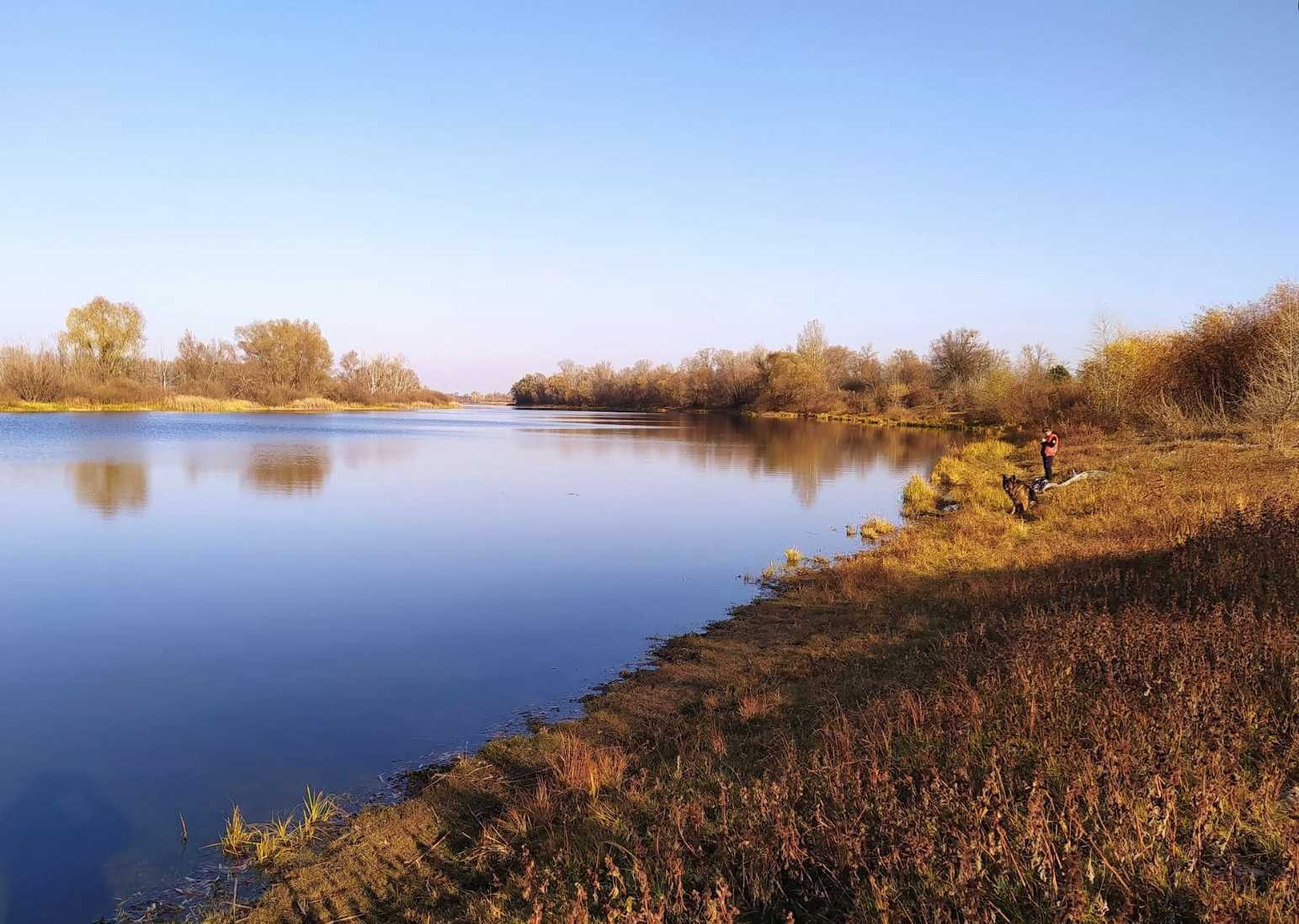 Продам дачу на Десні у Вишгородському районі