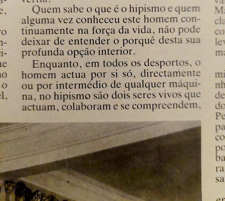 HIPISMO - Rodrigo Castro Pereira