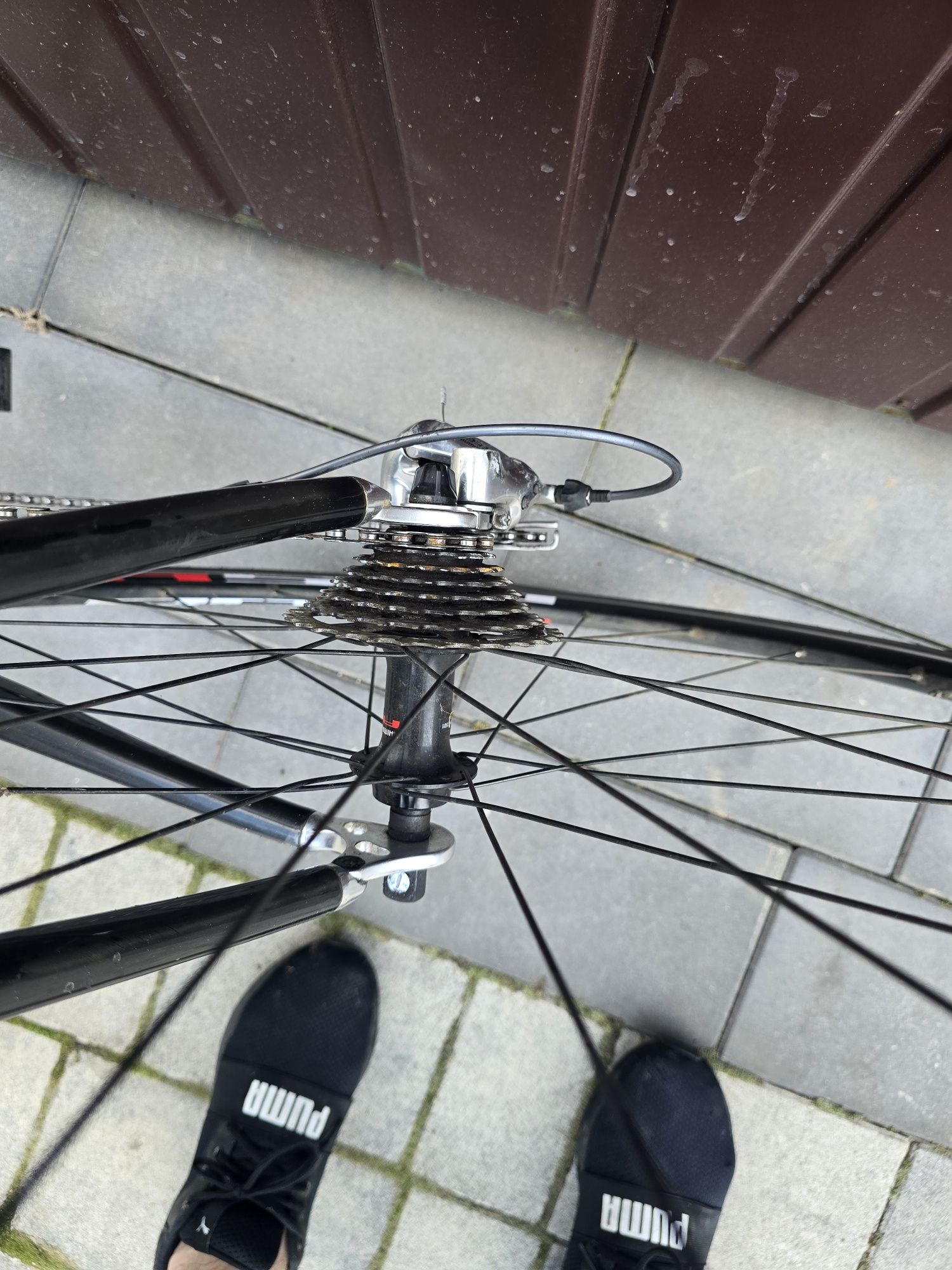 Rower Szosowy Szosa Gravel Ridley Carbon