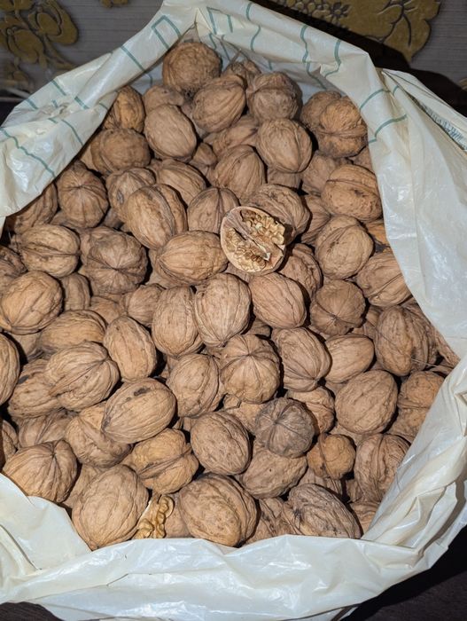 Грецкий орех (волоський горіх)