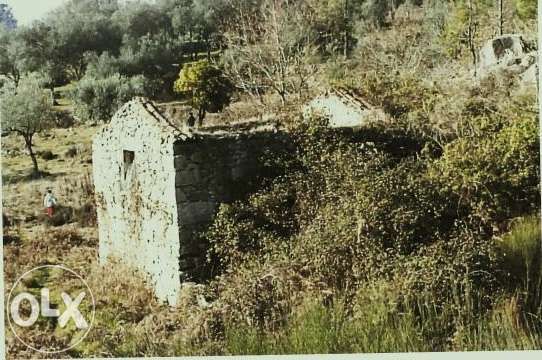 Quinta com casa para recuperar