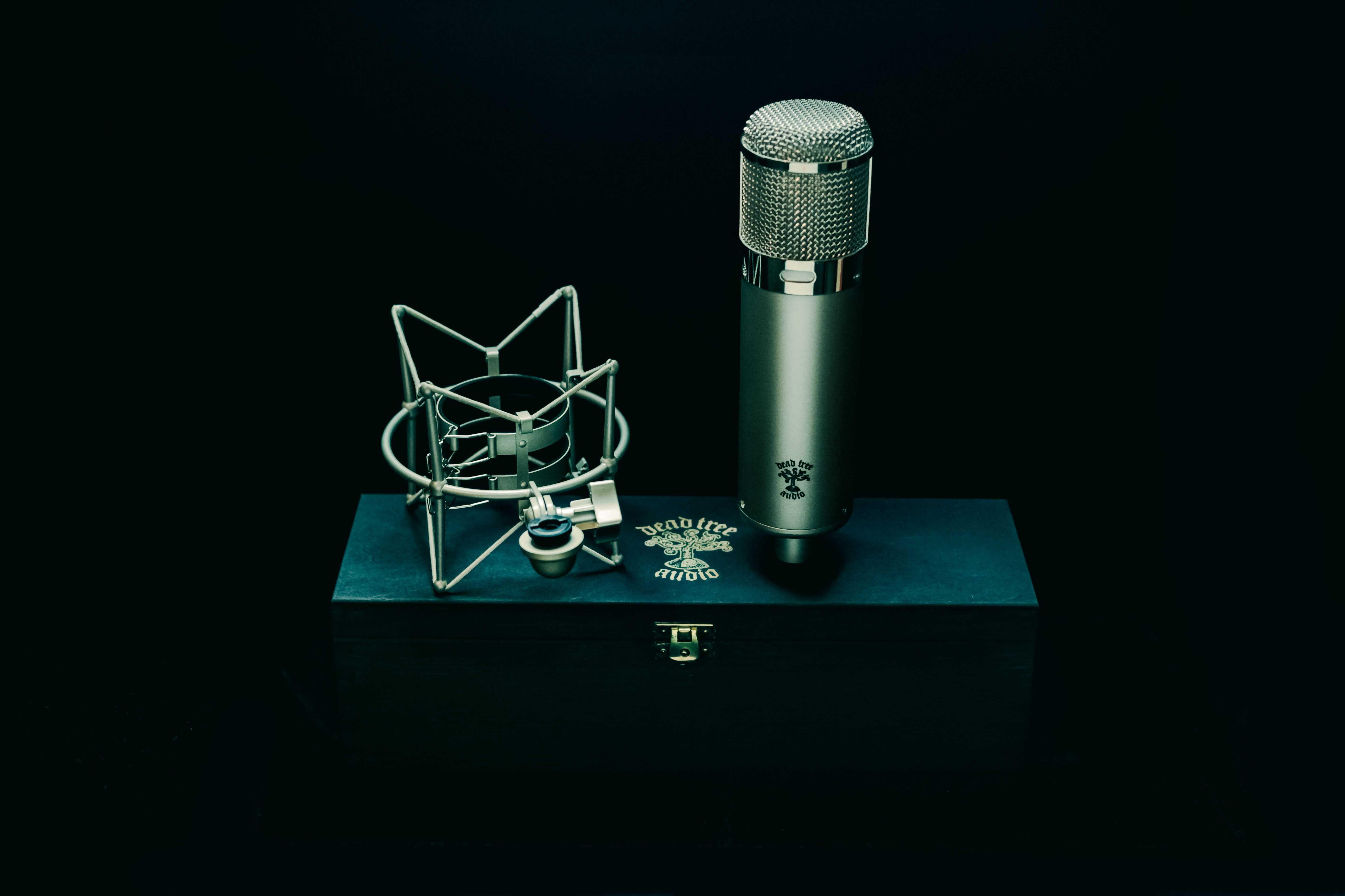 Mikrofon lampowy u47 Dead Tree Audio (kopia Neumann u47) (na zamowie)