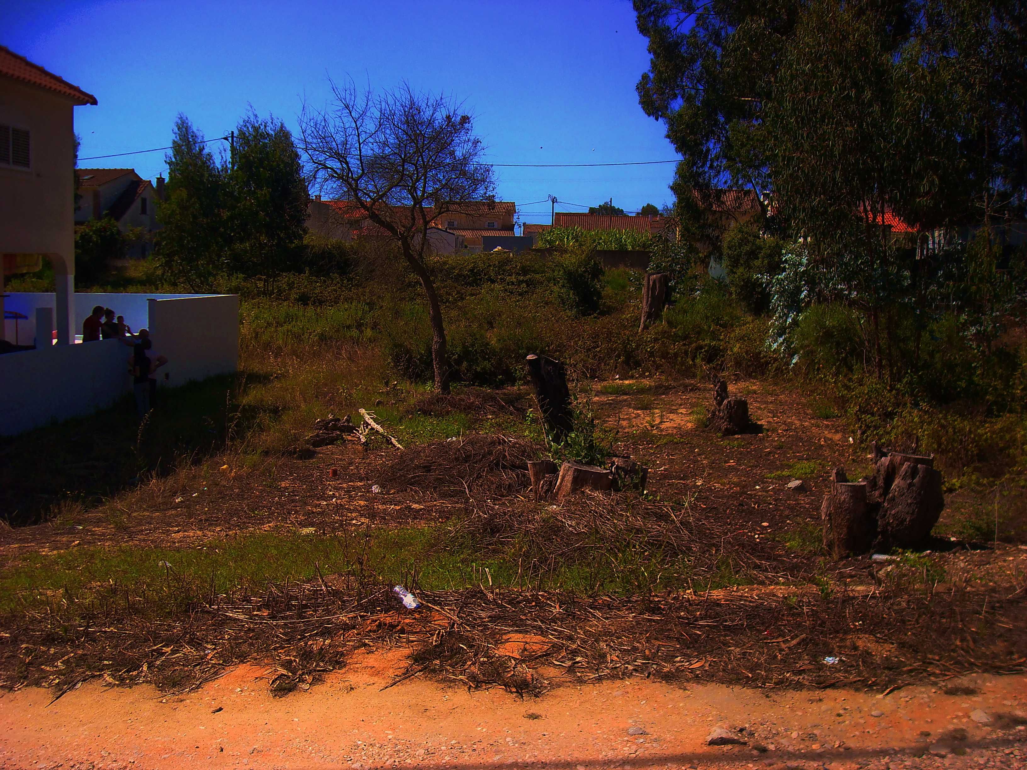 Oportunidade Única!
Terreno Exclusivo na Quinta da Aniza - Fase 3