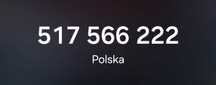 Złoty numer: 517 - 566 - 222