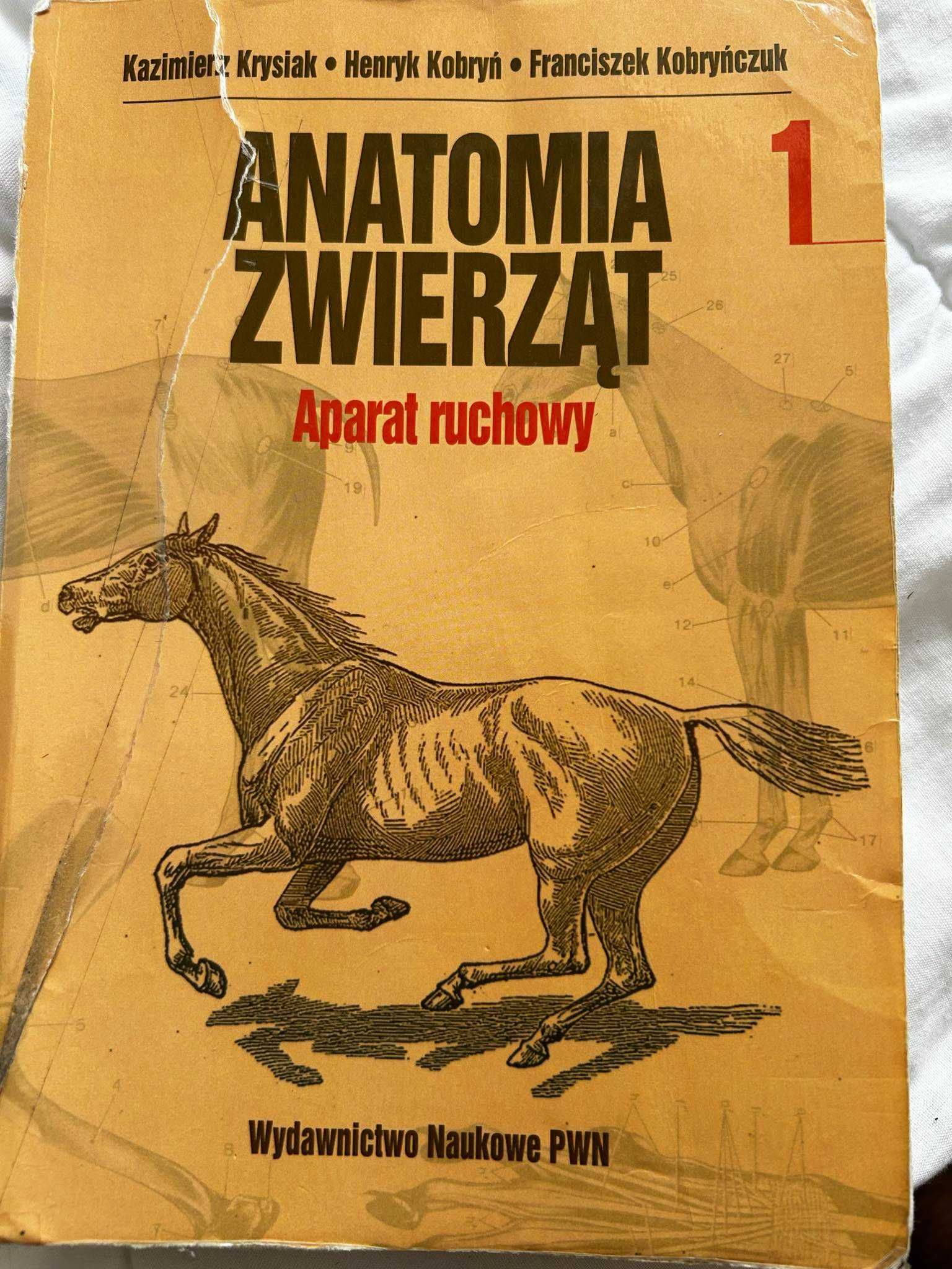 krysiak, kuryszko, przespolewska anatomia histologia biol-kom weta