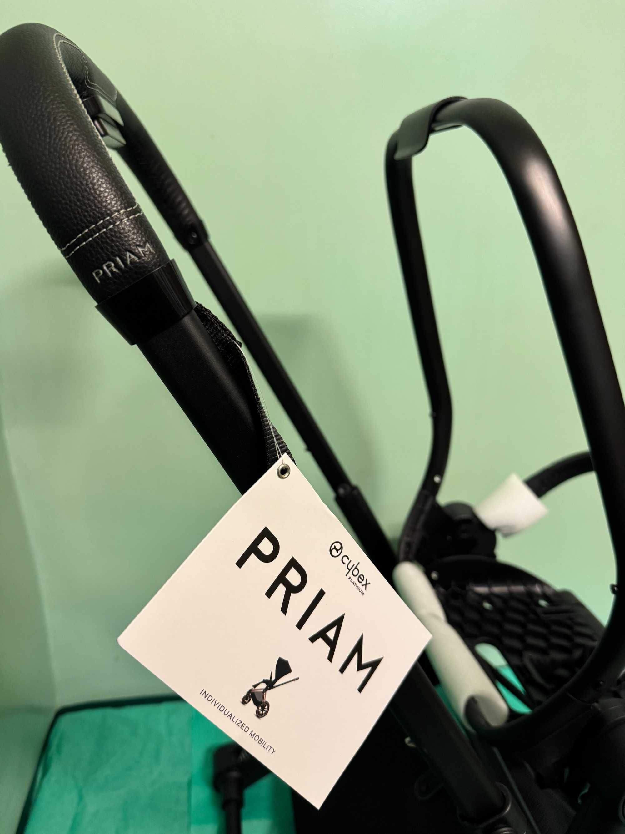 CYBEX Platinum Rama Priam Frame & Seat Harda Rba matt Black