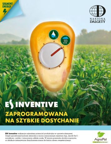 Kukurydza ES INVENTIVE - Rekordzista Plonowania !!! Nasiona kukurydzy