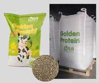 Golden protein śruta rzepakowa białko chronione