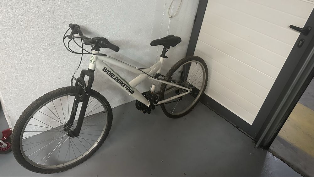Bicicleta adulto