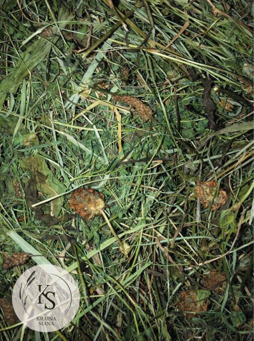 3kg/sianko ziołowe dla królika i świnki-Kraina Siana