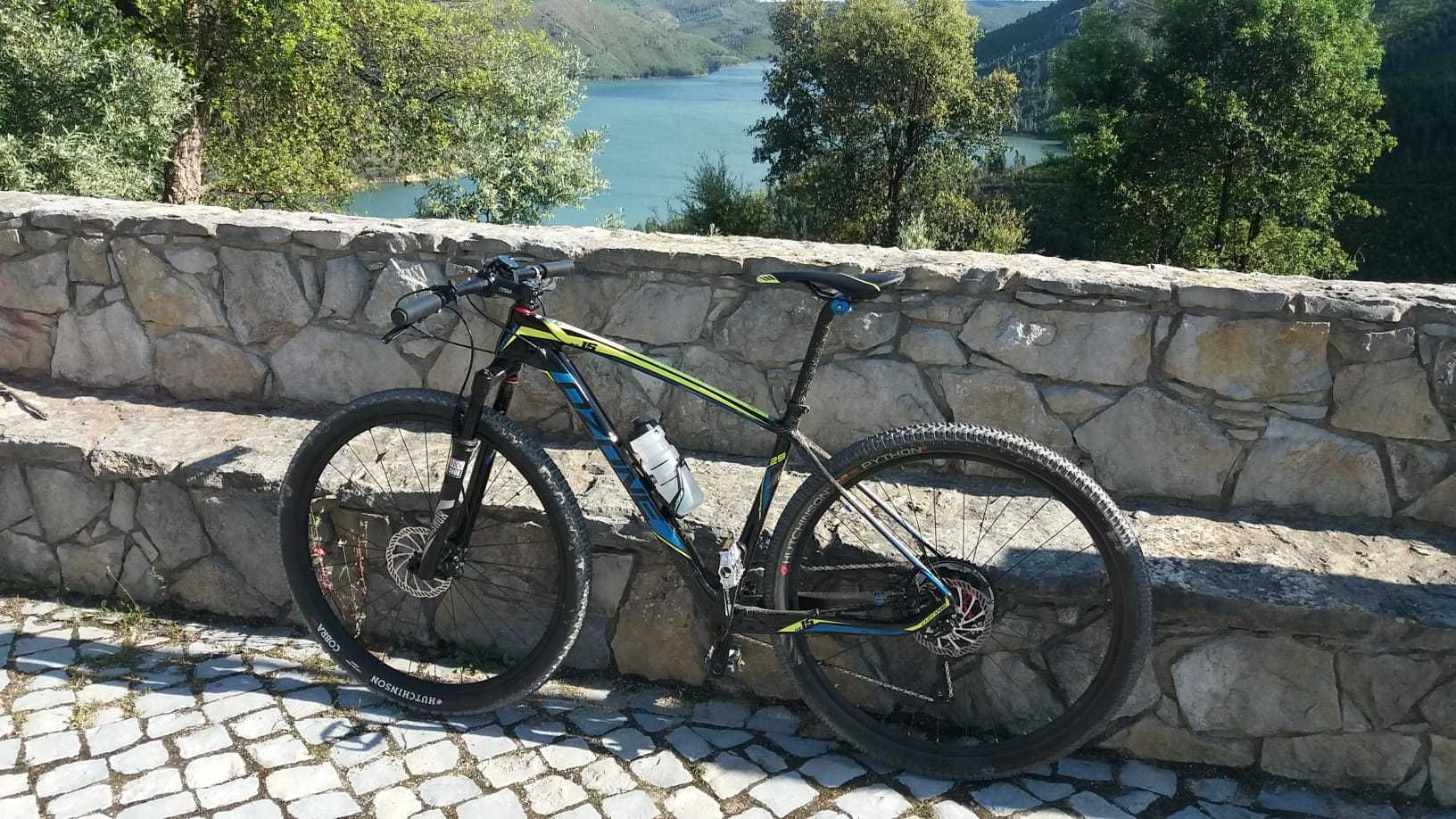 Bicicleta BTT roda 29 em Carbono T:L