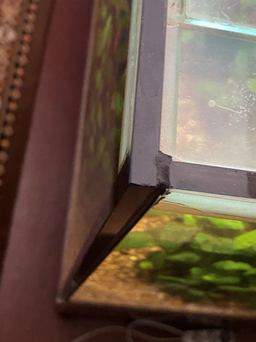 Аквариум с тумбой в комплекте (550литров)