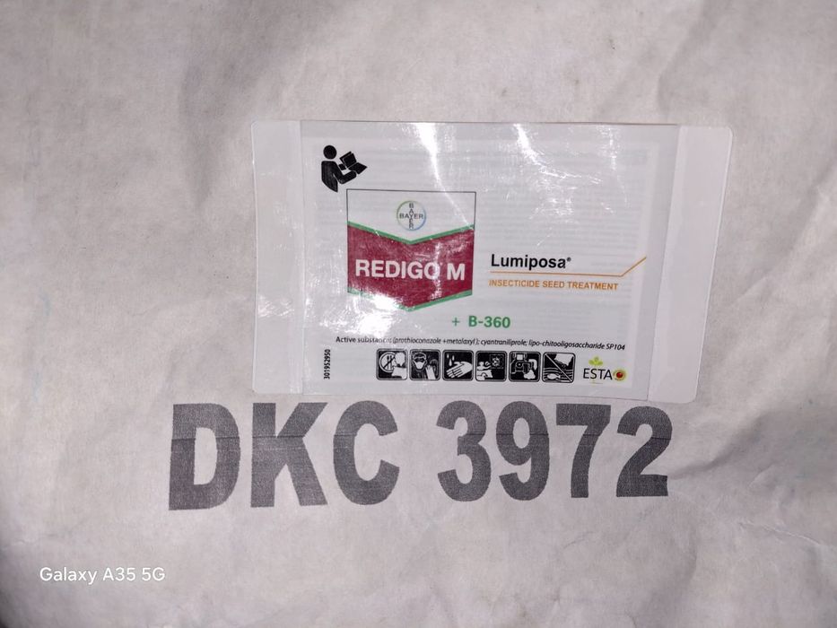 Кукуруза дкс 3972