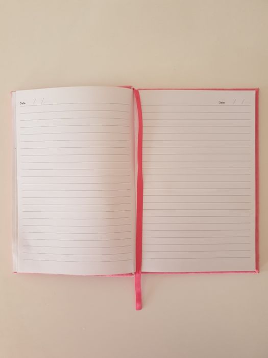 Diário/caderno novo