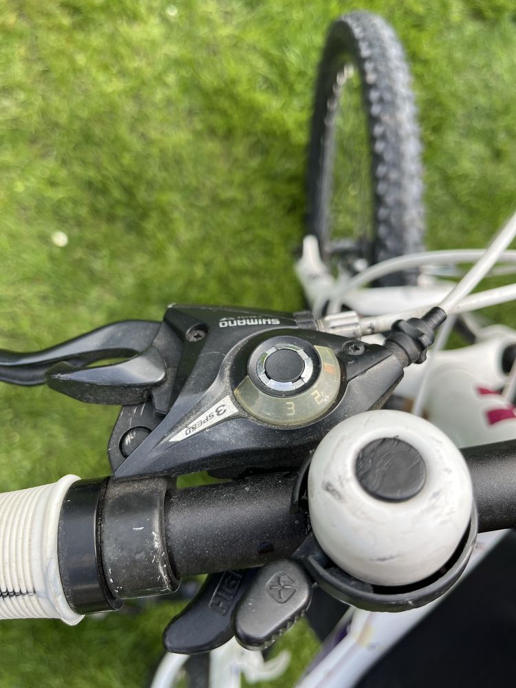 Rower Cube Access WLS