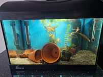 Akwarium 25l diversa zestaw