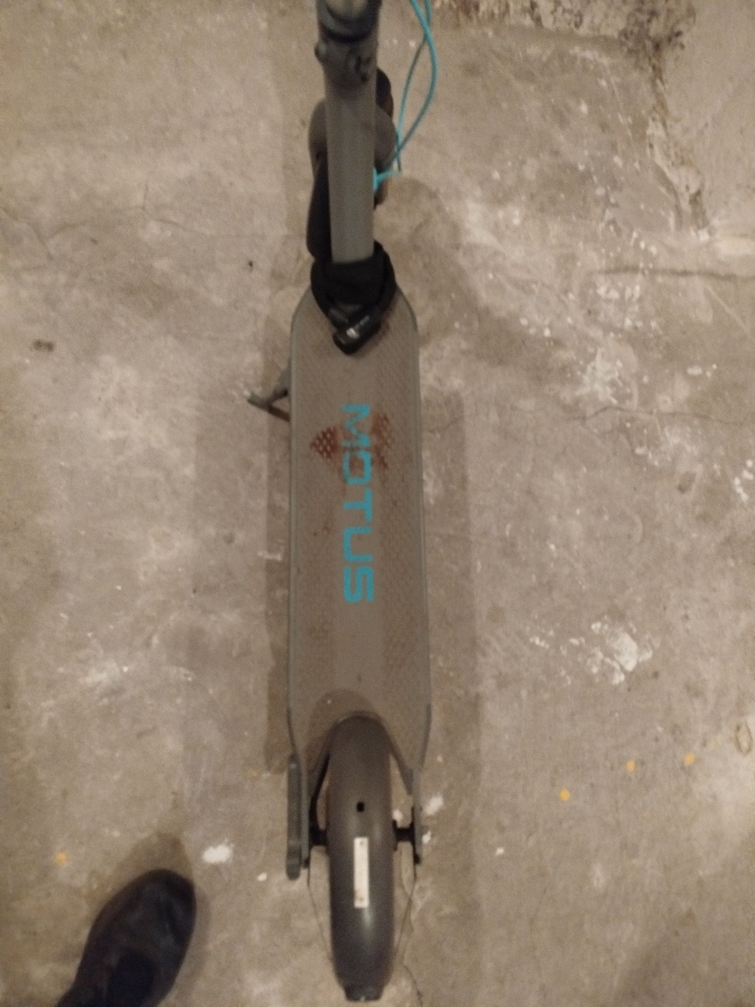 Motus Scotty 10 gen 5