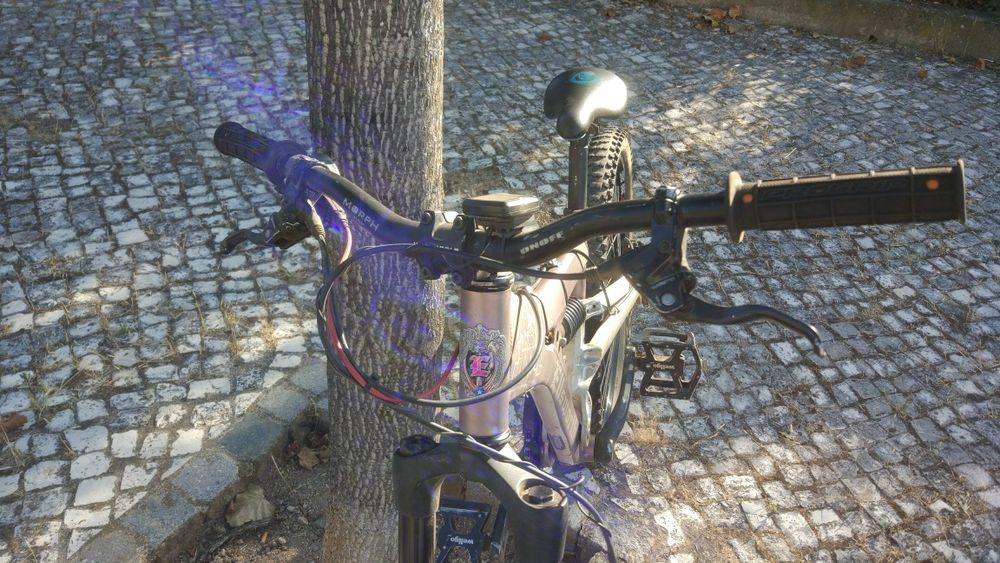 Bicicleta montanha