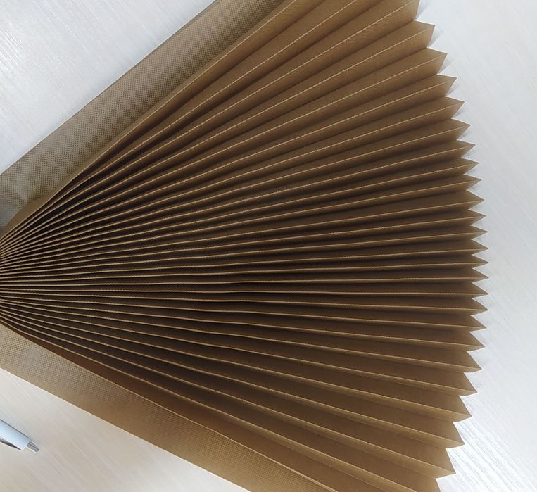 Штори плісе SCHOTTIS 100 см