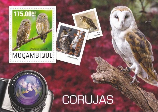 znaczki pocztowe czyste - Mozambik 2014 (2 pozycje) - ptaki, sowy