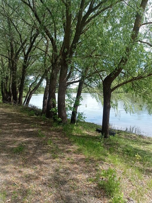 Оселя біля Чернігова. Поряд річка Десна. Є-ВІДНОВЛЕННЯ.