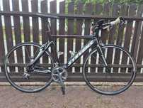 Rower tratlonowy czasowy stevens crono karbonowy