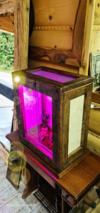 Terrarium z drewna dębowego