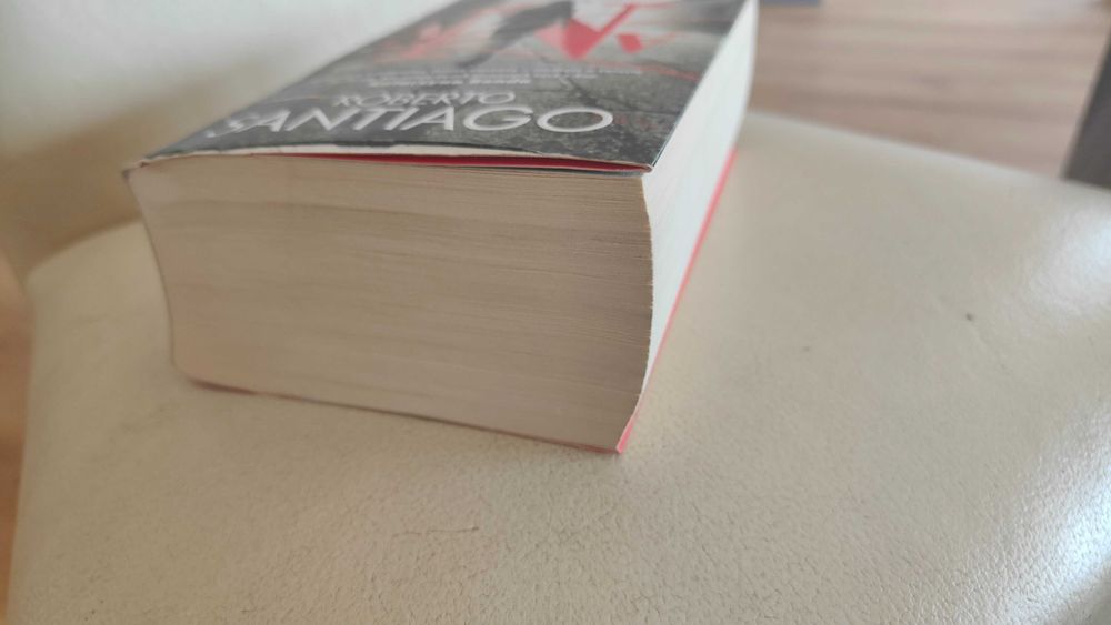 Ana Roberto Santiago