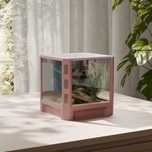 Terrarium 15x15x15 Terracotta Dla Modliszki, Skakuna, Ptasznika, Pająk