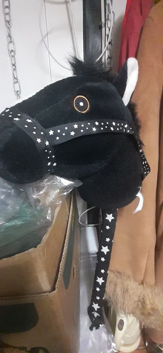 Konik hobby Horse