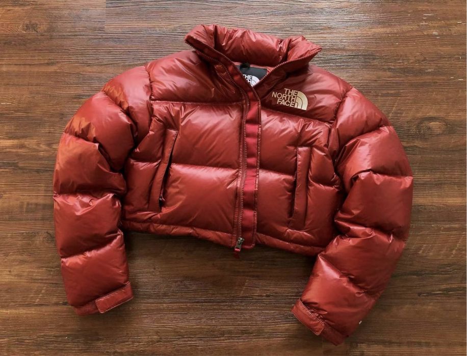 В Наявності! Жіночий пуховик The North Face 700