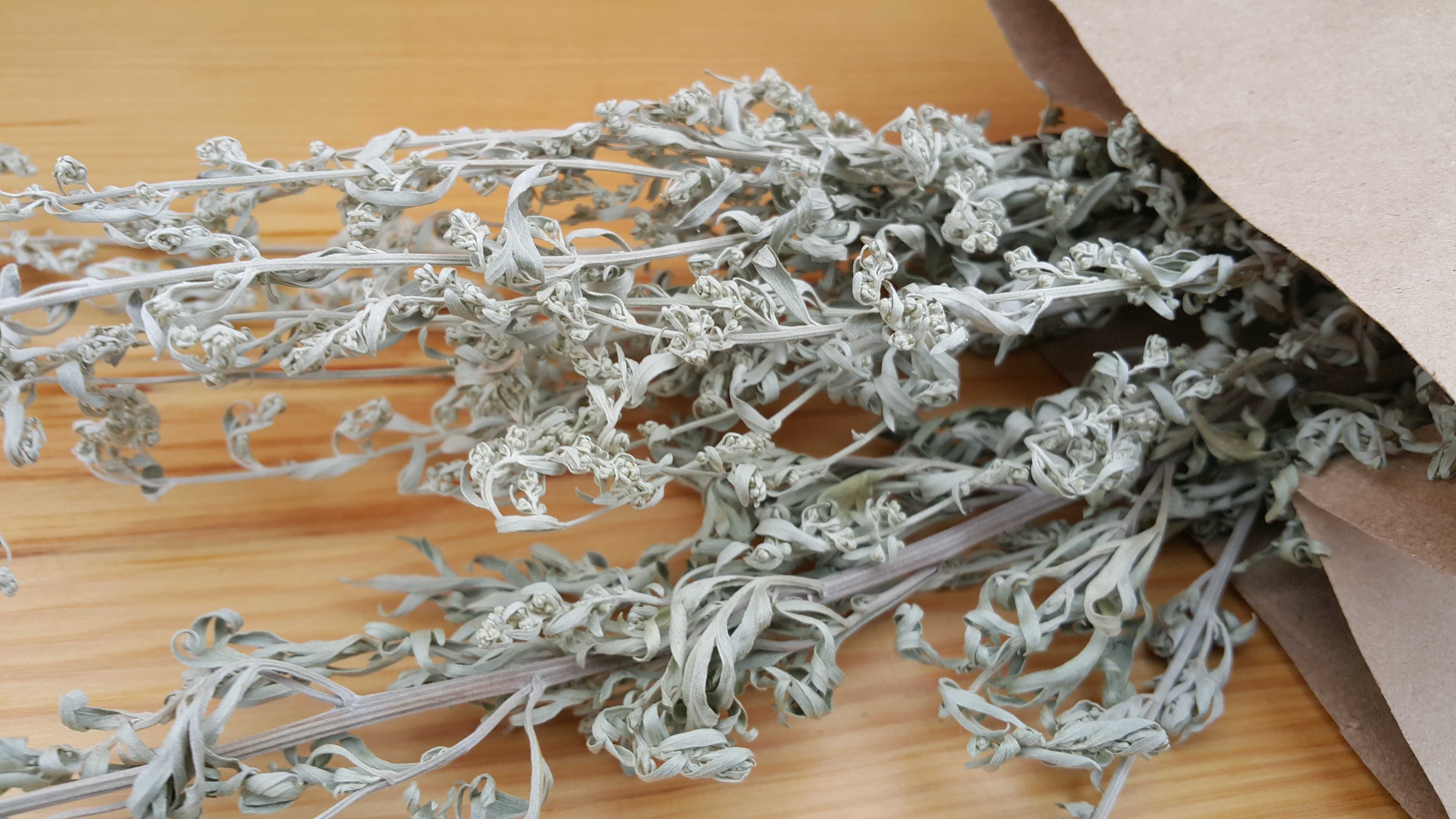 Piołun Bylica Bylica piołun  Artemisia absinthium L. suszone 25 gr