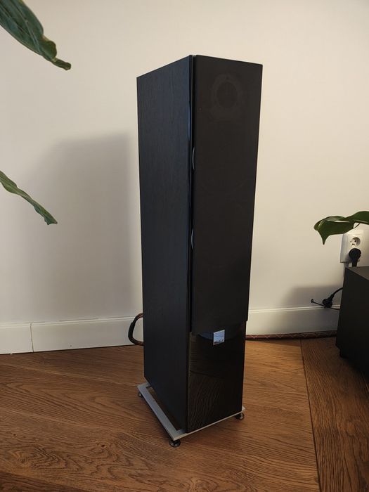 Kolumny podłogowe Dali zensor 5