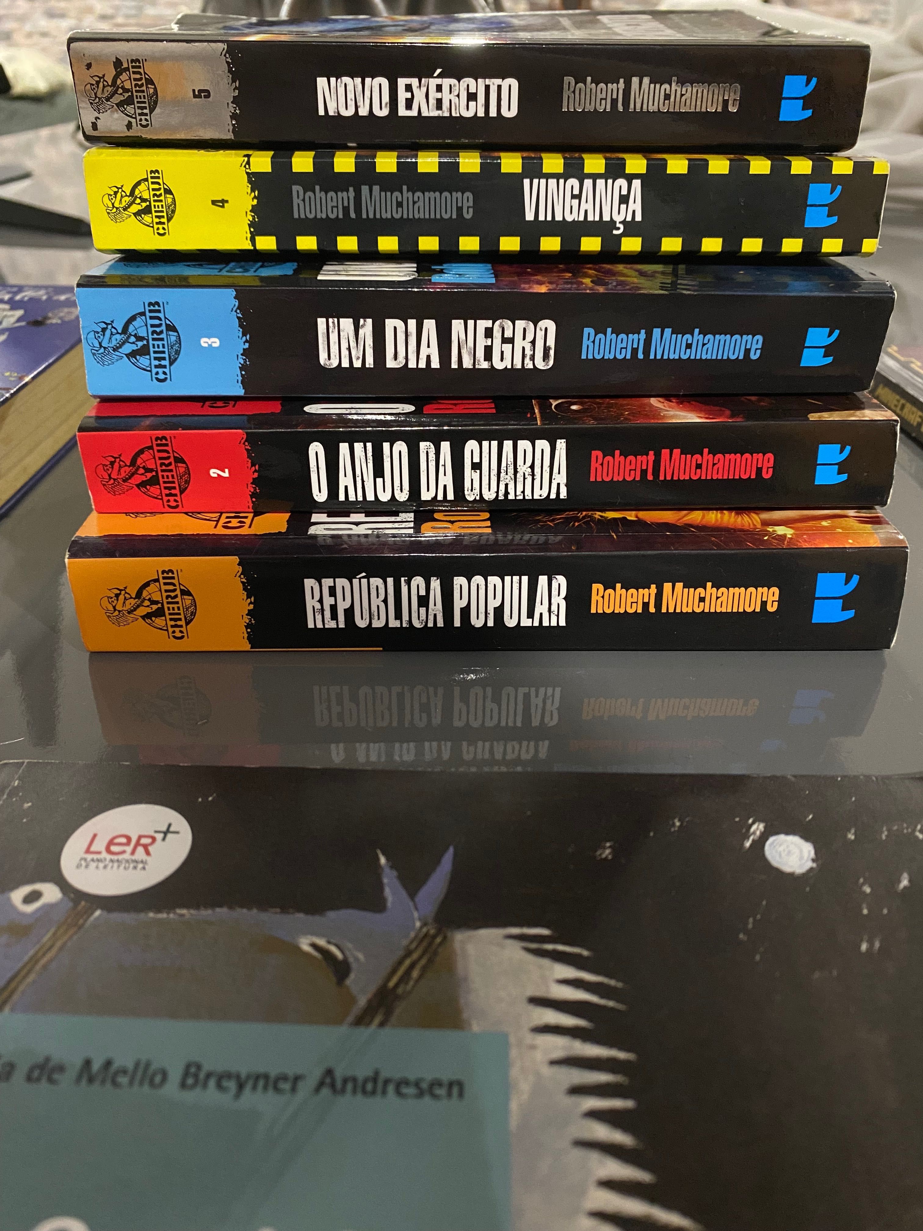 Coleção de livros incrível para adolescentes dos 10-18 anos