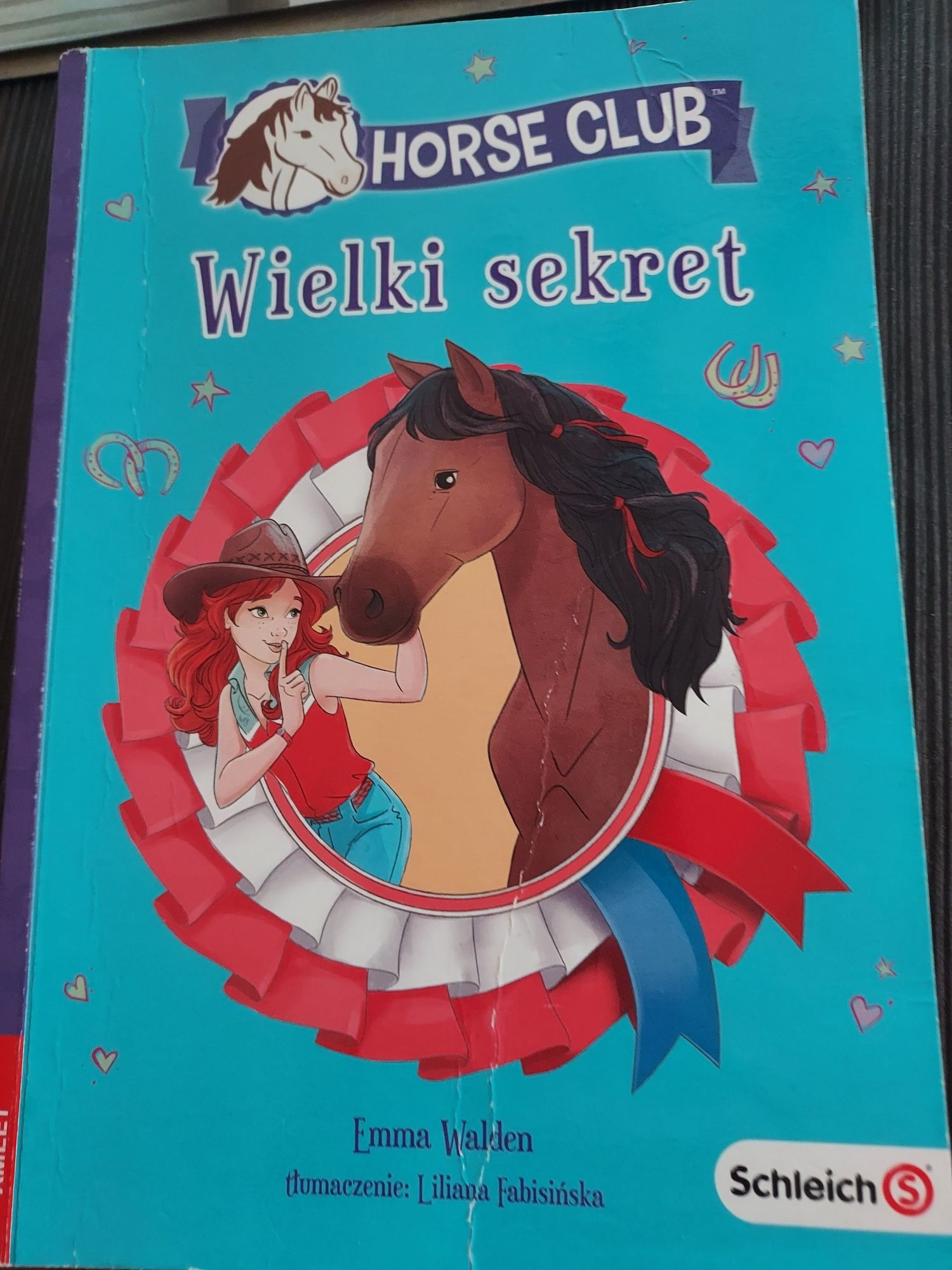 Wielki sekret - seria Horse Club t. 1