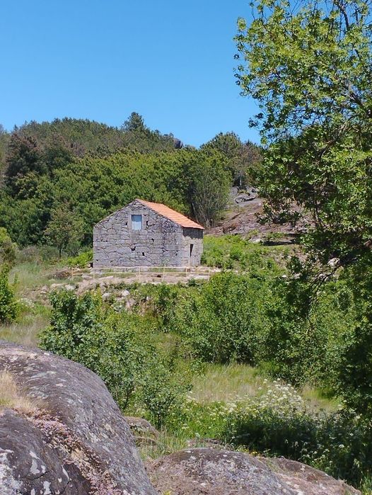 Quinta 5 ha – Figueiró da Granja / Fornos de Algodres