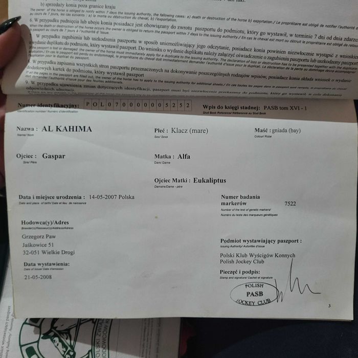 Zamienię-sprzedam klacz Arabska 17lat