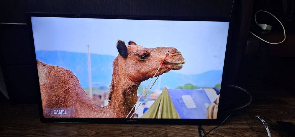 Telewizor Samsung Smart Tv40eh5300