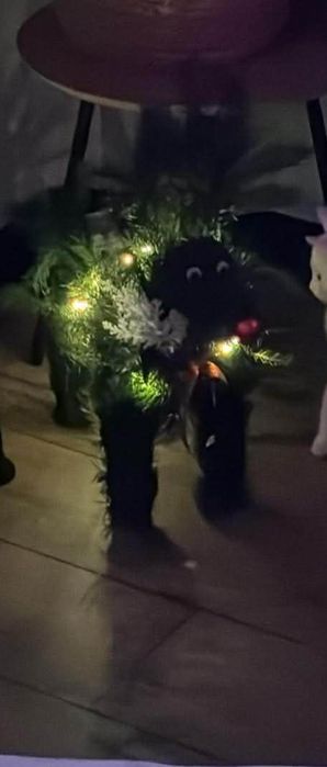 Świąteczne reniferki