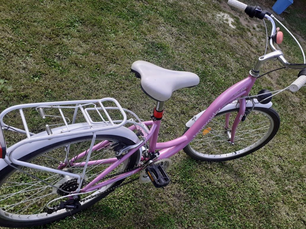 Rower młodzieżowy teamrider city 24