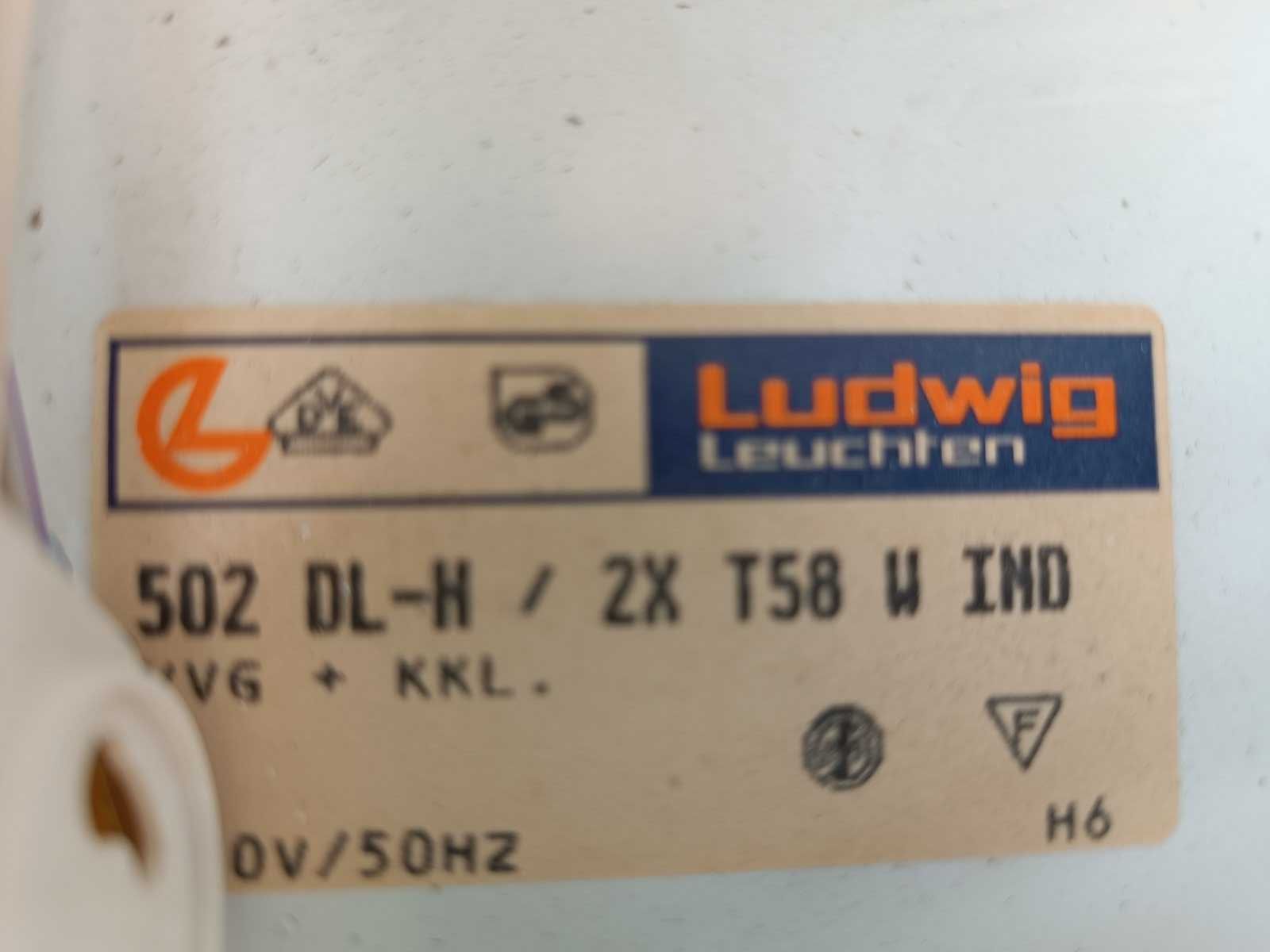 Світильники денного світла*LUDWIG* з лампами.