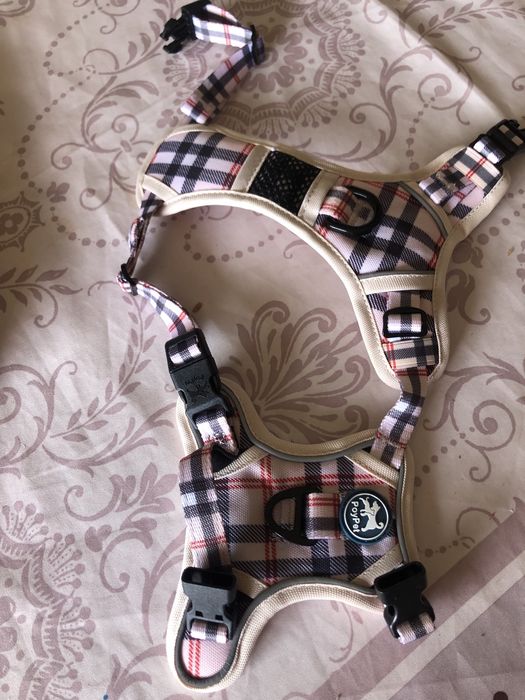 Arnês novo para cão