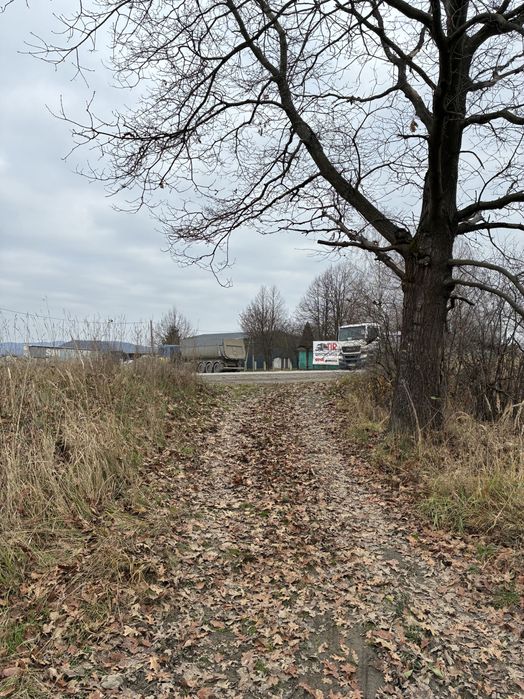 Продається земельна ділянка 15 соток у місті Тячів