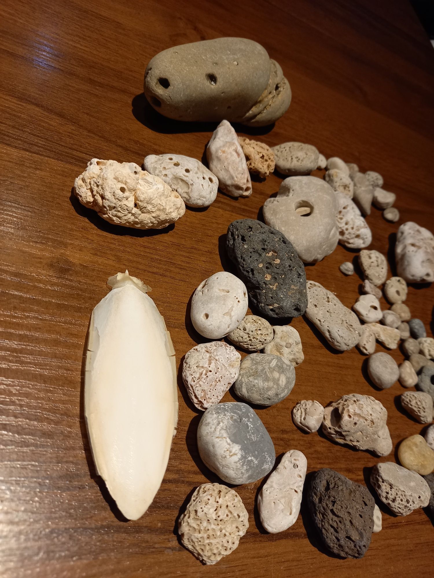 Kamienie i muszla