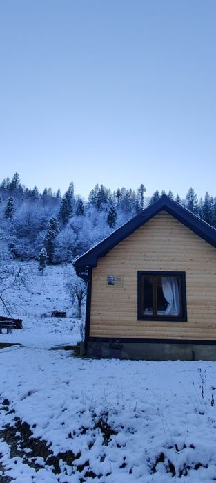 Чорна п'ятниця.Здається будиночок в Карпатах